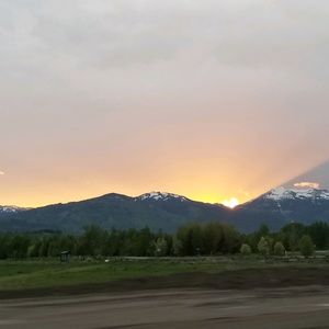 Meet your Posher, Ava